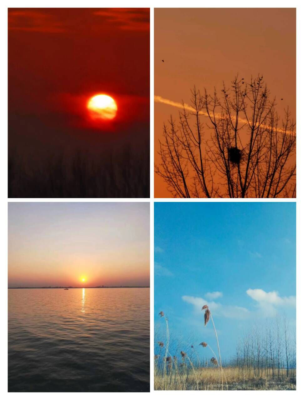 C20E068F5A3609D3A809E2C99C6_D5B139E8_CA47A.png?e=